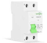 Type AC Circuit Breaker (2P) at 63A and 30mA for Enhanced Safety in EV Charging and Industrial Use