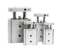 Type CXSM Dual Rod Cylinder Pneumatic Cylinder CXSM10 CXSM15 CXSM20 CXSM25 CXSM32 Double Axis Dual Rod Cylinder(Stroke 80mm,CXSM20)