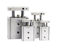 Type CXSM Dual Rod Cylinder Pneumatic Cylinder CXSM10 CXSM15 CXSM20 CXSM25 CXSM32 Double Axis Dual Rod Cylinder(Stroke 50mm,CXSM20)