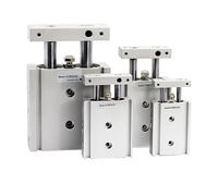 Type Dual Rod Cylinder Pneumatic Cylinder CXSM10 CXSM15 CXSM20 CXSM25 CXSM32 Double Axis Dual Rod Cylinder(Stroke 75mm,CXSM32)