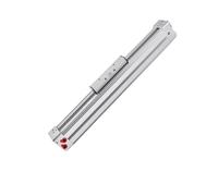 Type High Speed Mechanical Rodless Cylinder with Guide Rail Long Stroke DGC-K-25-100-PPV-A DGC-K-32 40-100-PPV-A(750mm,DGC-K32)