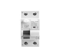 Type Time Delayed Electromagnetic Circuit Breaker 40A 63A 30mA 0.03A | Circuit Breaker(TypeA-SI 2P 40A 30mA)