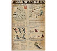 Types Of Alpine Skiing Tin Poster Alpine Skiing Knowledge Metal Signs Bedroom Bathroom Ski Club School Kitchen Home Art Wall Decoration Plaque 12x16 Inch