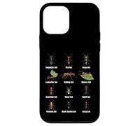 Types of Ants, Ant Species Chart, Insect Science, Entomology Case for iPhone 12 mini