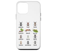 Types of Ants, Ant Species Chart, Insect Science, Entomology Case for iPhone 12 mini