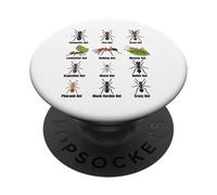Types of Ants, Ant Species Chart, Insect Science, Entomology PopSockets Adhesive PopGrip