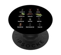 Types of Ants, Ant Species Chart, Insect Science, Entomology PopSockets Adhesive PopGrip