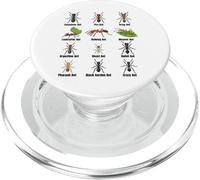Types of Ants, Ant Species Chart, Insect Science, Entomology PopSockets PopGrip for MagSafe
