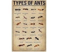 Types of Ants Birthday Gift for Ants Lover Vintage Novelty Funny Bathroom Parlor Bar Pub Retro Home Gift Yard Garden Celebration Farm Courtyard Posters Metal Tin Signs Wall Decor 12x8 Inch