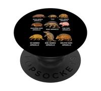Types of Armadillo Educational Wildlife Species Ecology PopSockets Adhesive PopGrip