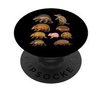 Types of Armadillo Educational Wildlife Species Ecology PopSockets Adhesive PopGrip
