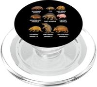 Types of Armadillo Educational Wildlife Species Ecology PopSockets PopGrip for MagSafe
