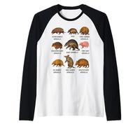 Types of Armadillo Educational Wildlife Species Ecology Raglan Baseball Tee
