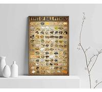 Types Of Ball Pythons Wall Art Poster Pythons Knowledge Poster Vintage Wall Art Home Decor Gift For Pythons Lover Metal Tin Sign 6x8 inches