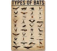 Types Of Bats Wood Sign Bat Knowledge Retro Plaques Infographic Wooden Poster School Education Home Farmhouse Club Wall Hanging Signs 6x8 Inches