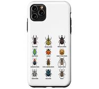 Types of Beetles, Beetle Species Chart Insect Identification Case for iPhone 11 Pro Max