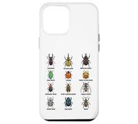 Types of Beetles, Beetle Species Chart Insect Identification Case for iPhone 12 Pro Max