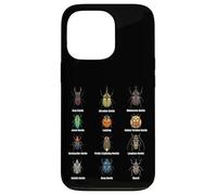 Types of Beetles, Beetle Species Chart Insect Identification Case for iPhone 13 Pro