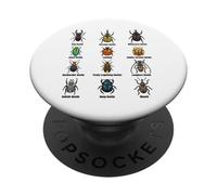 Types of Beetles, Beetle Species Chart Insect Identification PopSockets Adhesive PopGrip