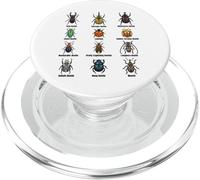 Types of Beetles, Beetle Species Chart Insect Identification PopSockets PopGrip for MagSafe