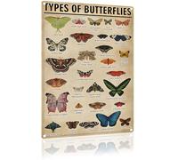 Types of Butterflies Metal Sign Insect Knowledge Education Infographic Wall for Flower Shop Bar Cafe Home Kitchen Plaque 8x12 Inch (TYPES OF BUTTERFLIES 29 Species) (2509)