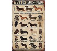 Types of Dachshunds Dog Knowledge Jigsaw Puzzle for Adults 1000 Piece - Dachshunds Lover Gift, Family Decoration, Kids Toy 29.5''x19.6''