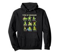 Types Of Dinosaurs Funny Dino-Snore Pullover Hoodie