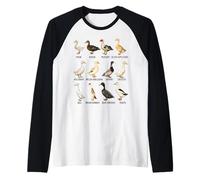 Types of Domestic Ducks Breeds Identification Chart Raglan Baseball Tee