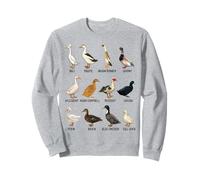 Types of Domestic Ducks Breeds Identification Chart Sweatshirt