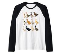 Types of Domestic Ducks Breeds Waterfowl Animals Raglan Baseball Tee