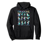 Types of Dragons Pastel Watercolor Cute Dragon Species Chart Pullover Hoodie