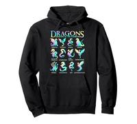 Types of Dragons Pastel Watercolor Legends Elements Dragon Pullover Hoodie