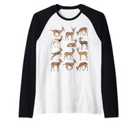 Types of Gazelles - Gazelle Species Science Boys Girls Kids Raglan Baseball Tee