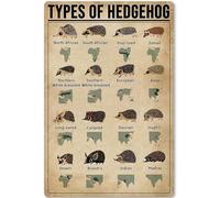 Types Of Hedgehog Posters Metal Signs Hedgehog Knowledge Popular Science Guide Room Club Farm Wall Decor 8x12 Inches