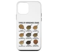 Types of Horseshoe Crabs - Diverse Horseshoe Crab Species Case for iPhone 12 mini