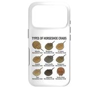 Types of Horseshoe Crabs - Diverse Horseshoe Crab Species Case for iPhone 17 Pro