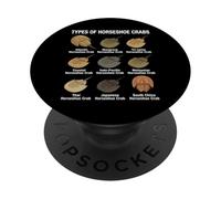 Types of Horseshoe Crabs - Diverse Horseshoe Crab Species PopSockets Adhesive PopGrip