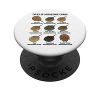 Types of Horseshoe Crabs - Diverse Horseshoe Crab Species PopSockets Adhesive PopGrip