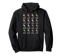 Types of Hummingbirds Colorful Hummingbird Species Chart Pullover Hoodie