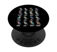 Types of Kingfishers - Kingfisher Species Ornithology Birds PopSockets Adhesive PopGrip