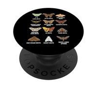 Types of Moths Scientific Educational Insect Chart PopSockets Adhesive PopGrip