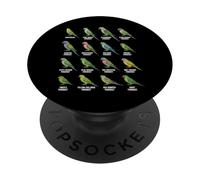 Types of Parakeets Species Identification Chart Ornithology PopSockets Adhesive PopGrip