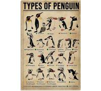 Types Of Penguin Knowledge Poster Prints, Retro Canvas Wall Art Pictures Living Room Decor 50X70Cm No Frame