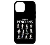 Types of Penguins Educational Animal Penguin Lover Case for iPhone 12 mini