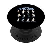 Types of Penguins Educational Sea Animal Science PopSockets Adhesive PopGrip