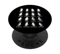 Types of Penguins - Penguin Species Identification Chart PopSockets Adhesive PopGrip