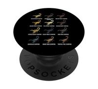 Types of Scorpions Scientific Desert & Forest Scorpion PopSockets Adhesive PopGrip