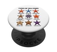 Types of Sea Stars, Starfish Species Chart, Marine Animals PopSockets Adhesive PopGrip