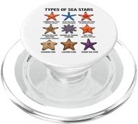 Types of Sea Stars, Starfish Species Chart, Marine Animals PopSockets PopGrip for MagSafe