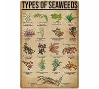 Types Of Seaweeds Posters Wall Decor Metal Signs Children'S Science Knowledge Retro Room Decor Bedroom Printing Plaque 8x6 Inches